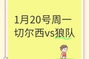 开云官网-切尔西客场击败狼队，取得关键胜利