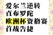 开云体育官网-关于爱尔兰主场落败，欧洲杯资格梦碎的信息