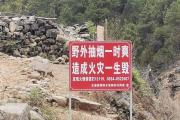 开云APP-包含森林火队主帅自责球队失分，寻找牛鼻近路变局的词条