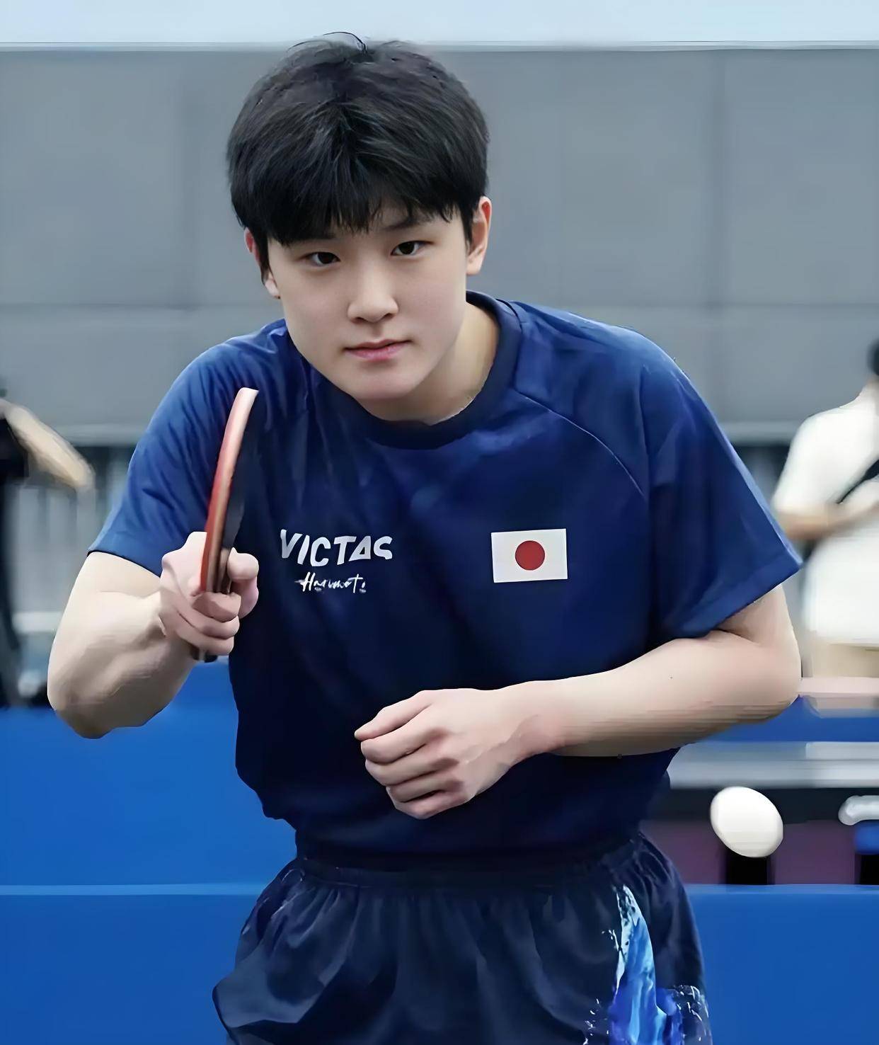 葡萄牙队险胜韩国队,张本智和统治全场 葡萄牙队险胜韩国队,张本智和统治全场