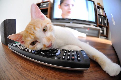 大心脏，舞台越大越强的密码