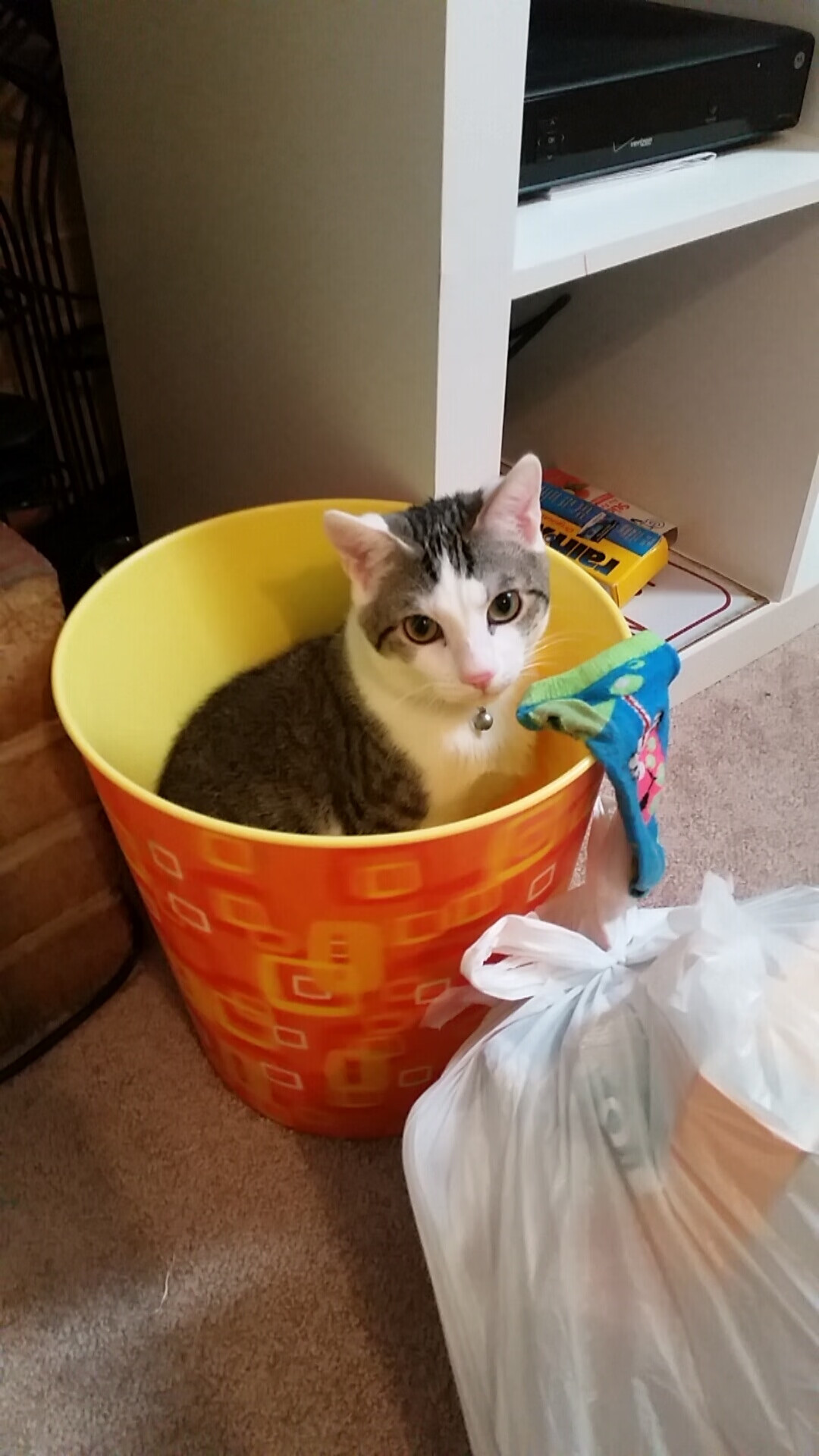 F1年度争冠焦点战，德国车手最后时刻逆转，击败曼联式强敌