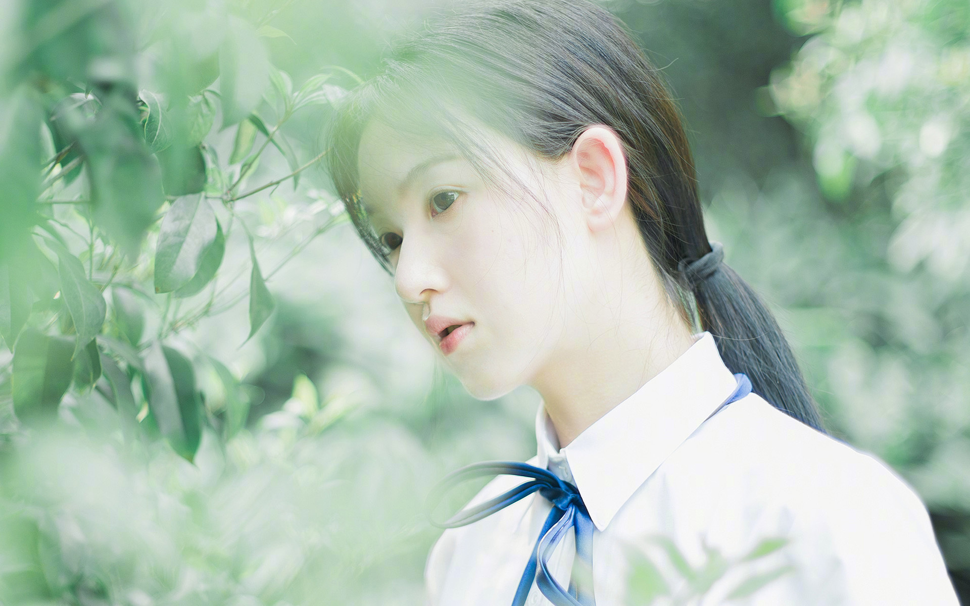 红牛狂奔终结红军铁蹄,罗德里静默铸就千场丰碑,现代足球的双面镜像