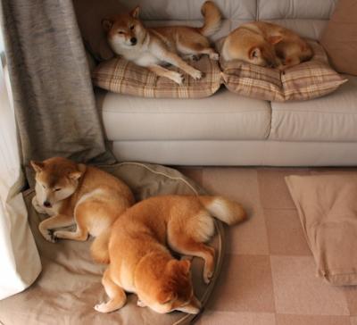 西甲国家德比之夜，特奥末节接管比赛