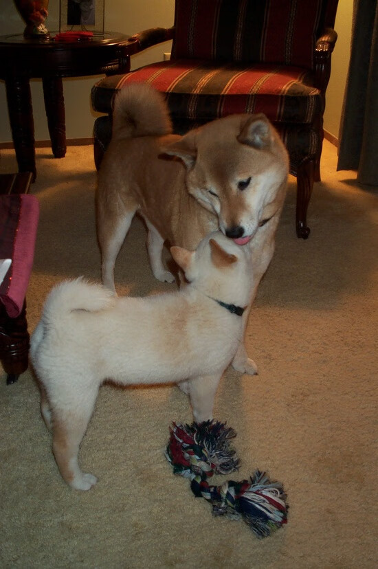 浓眉擎天！余嘉豪制霸攻防转换，浙江力克吉林取关键胜利