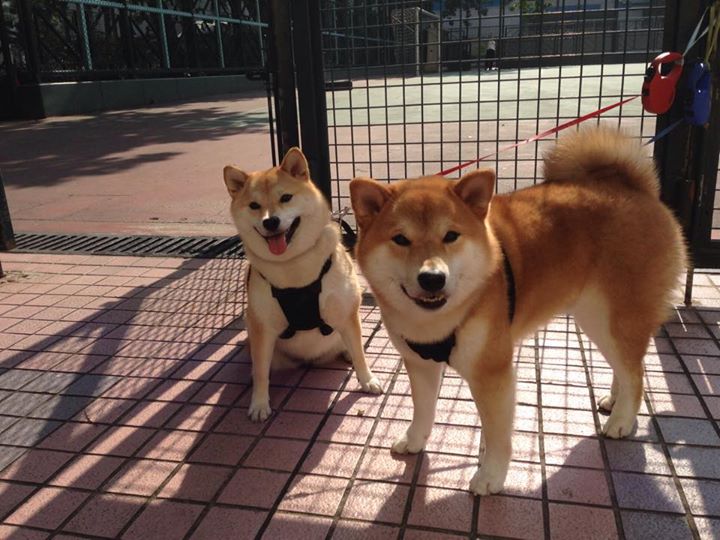 皮克焦点战正名立威,法国决胜局力擒乌克兰