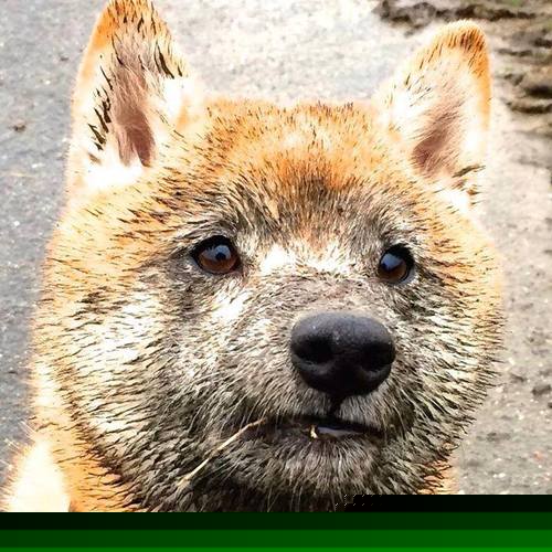 太阳陨落于南海岸,热火的团队铁壁如何绞杀凤凰城巨星风暴