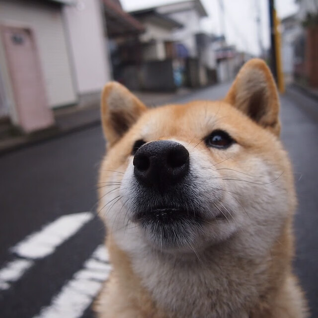 太阳陨落于南海岸,热火的团队铁壁如何绞杀凤凰城巨星风暴