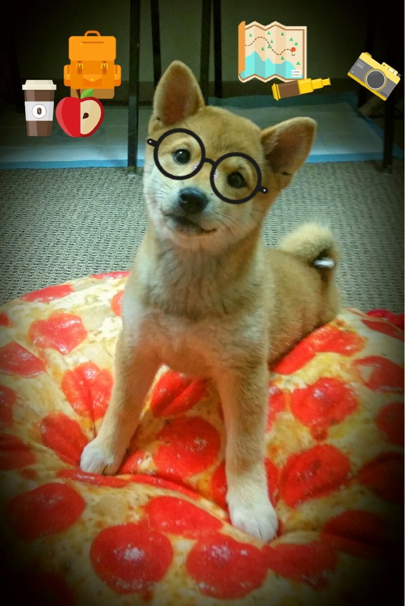 新王当立！霍勒迪30+10打脸质疑者，篮网加时擒快船证巨星价值