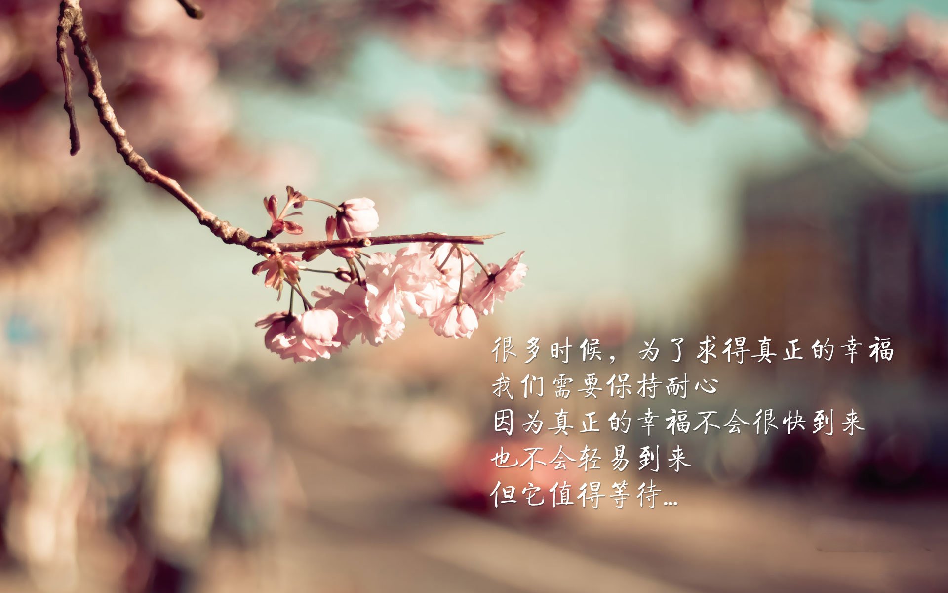 飞天遁地！爱德华兹化身烈火，季后赛之夜灼穿所有防线